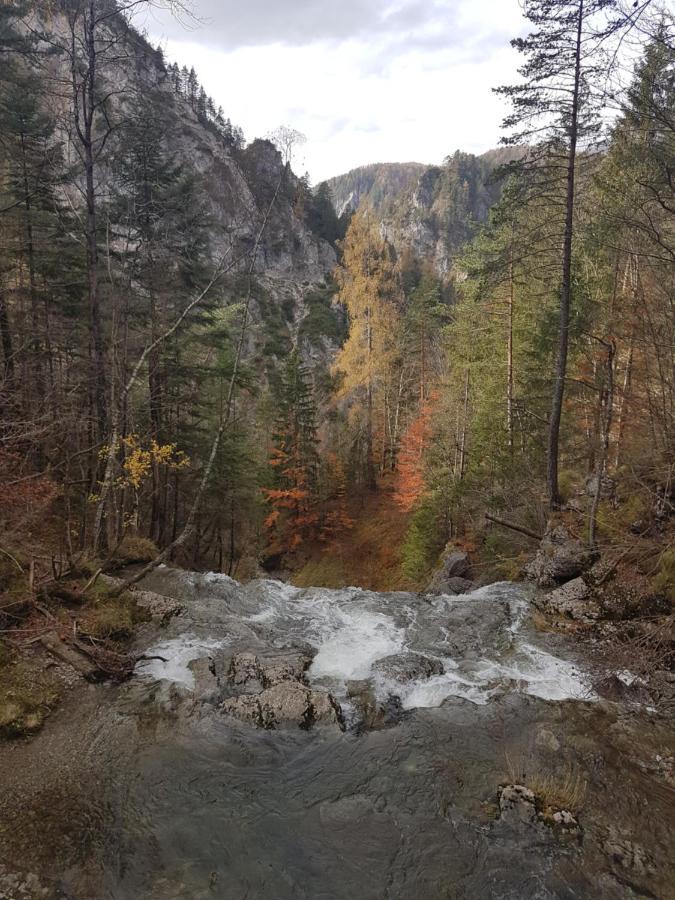 Apartment Mariazell Buergeralpe Eksteriør billede